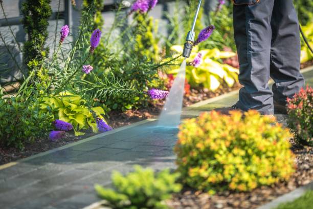 Professional Pressure Washing Services in Cedar Falls, IA